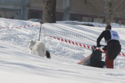 Lenk 2012 SM